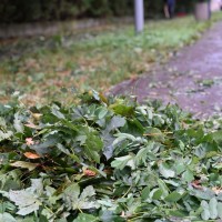 Sprzątanie po gradobiciu w Chorzowie - zdjęcie 1