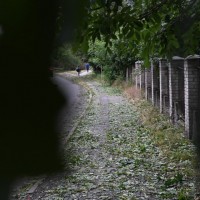 Sprzątanie po gradobiciu w Chorzowie - zdjęcie 5