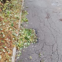Sprzątanie po gradobiciu w Chorzowie - zdjęcie 7