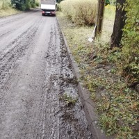 Sprzątanie po gradobiciu w Chorzowie - zdjęcie 6