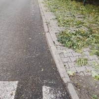 Sprzątanie po gradobiciu w Chorzowie - zdjęcie 8
