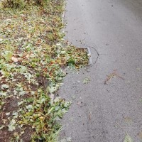 Sprzątanie po gradobiciu w Chorzowie - zdjęcie 12