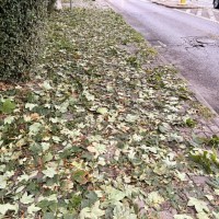 Sprzątanie po gradobiciu w Chorzowie - zdjęcie 14