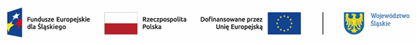 Pasek logotypów: Fundusze Europejskie, Rzeczpospolita Polska, Województwo Śląskie i Unia Europejska