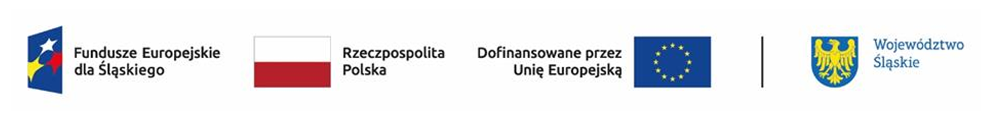 Logotypy dofinansowania: Fundusze Europejskie dla Śląskiego, Rzeczpospolita Polska, Dofinansowane przez Unię Europejską, Województwo Śląskie